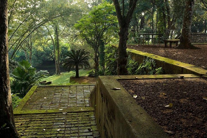 Bentota Day Tour from Colombo: Madu River, Turtle Hatchery & Kothduwa Temple photo 3