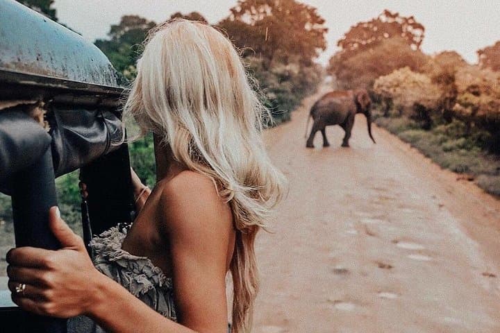 Dambulla & Kaudulla Day Tour — Cave Temple and Elephant Safari from Colombo