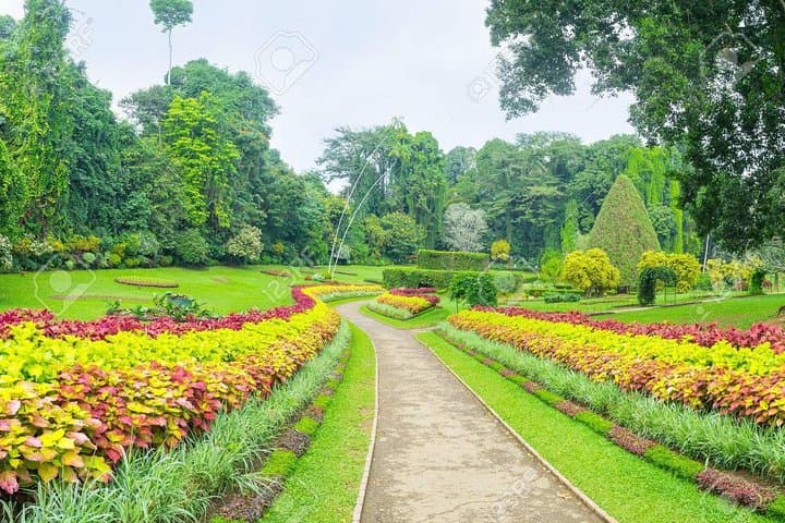 Private Kandy Day Tour from Colombo: Temple, Gardens & Cultural Highlights photo 2