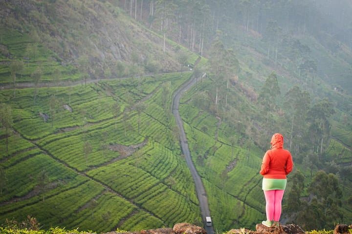 Lipton's Seat & Dambatenna Tea Factory: Haputale Plantation Walk and Panoramic View photo 4