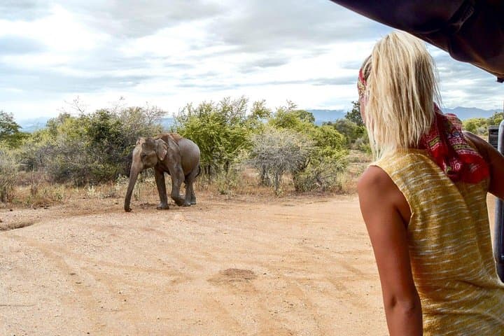 Udawalawe Safari from Kalutara: Guaranteed Elephant Encounters and Full-Day Jeep Excursion photo 4