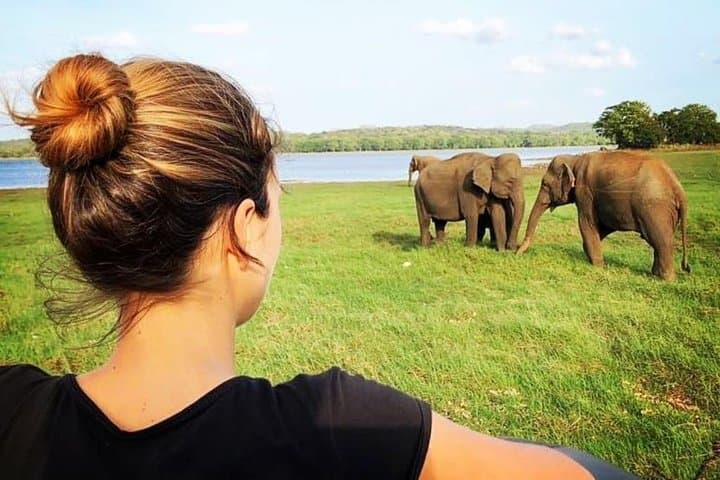 4-Day Kandy, Nuwara Eliya, Ella & Udawalawe Safari from Negombo: Hill Country, Tea Trails & Guaranteed Elephants photo 4