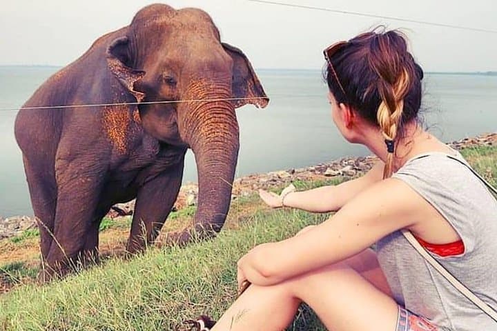 Udawalawe National Park Day Safari from Negombo: Elephant & Wildlife Jeep Tour photo 2