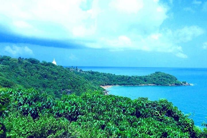 Galle Fort & Jungle Beach Day Trip from Colombo — Heritage Walk, Turtle Hatchery & Coastal Swim photo 2