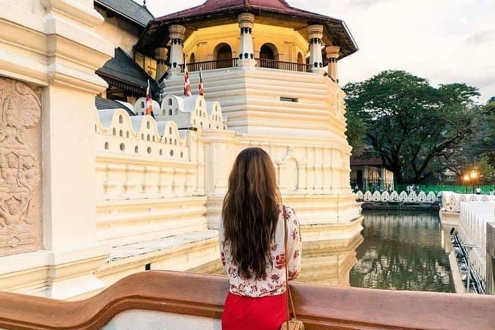 Kandy Day Tour from Colombo: Temple of the Tooth, Peradeniya Gardens & Tea Country photo 4
