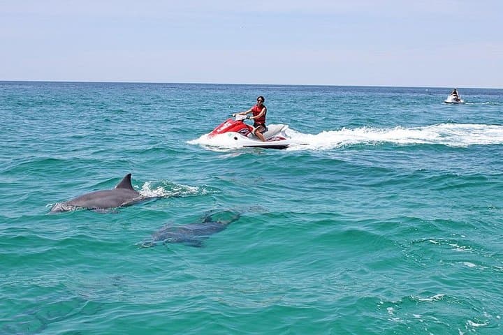 Waverunner Dolphin Tour in Destin: Jet Ski Dolphin-Watching on the Emerald Coast photo 1