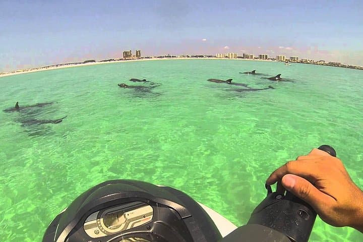 Waverunner Dolphin Tour in Destin: Jet Ski Dolphin-Watching on the Emerald Coast photo 2