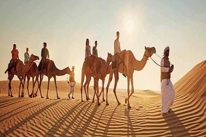 Camel Trekking in Dubai: Sunrise Desert Ride and Bedouin Experience