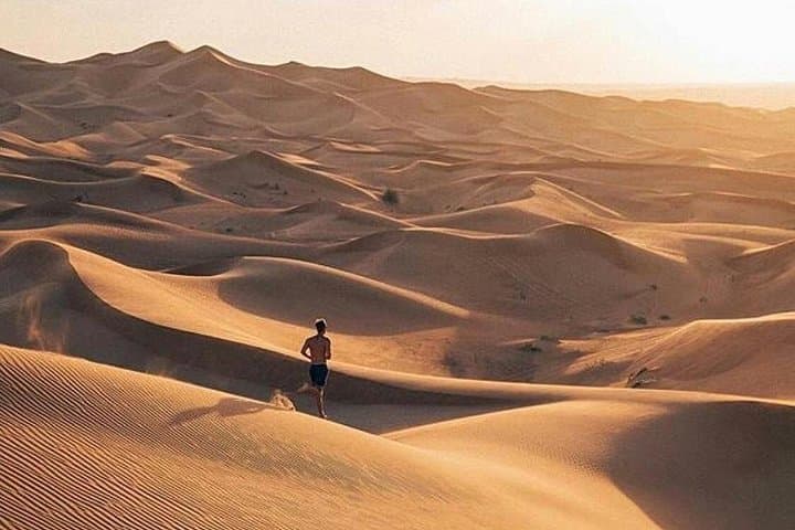 Full-Day Dubai City Tour & Evening Desert Safari with Dinner — Burj Khalifa to Dune Bashing photo 2