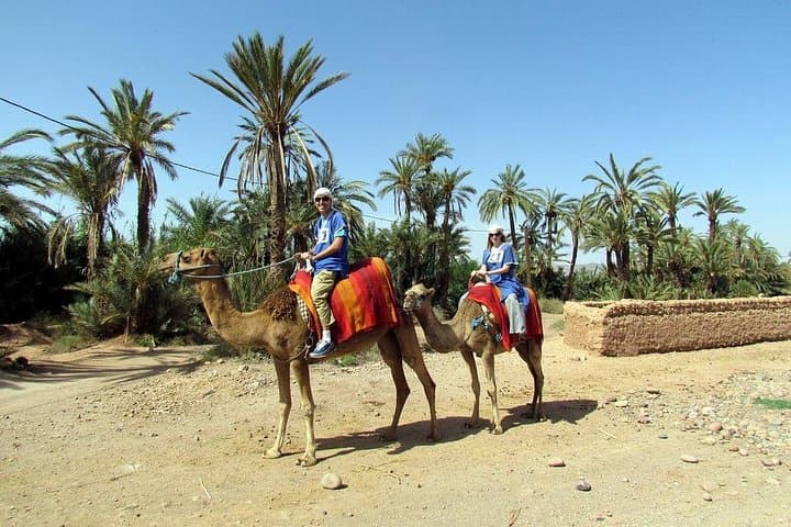 Marrakech Palm Groves Camel Ride — Half-Day Camel Trek with Mint Tea photo 2