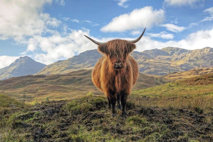 Two-Day-Highlands-Exploration-Eilean-Donan-Loch-Ness-and-Glenfinnan photo 2