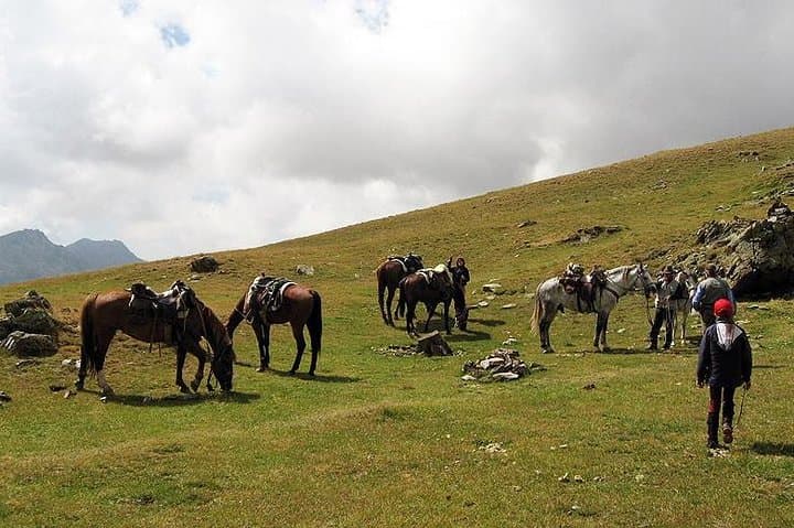 Rila Trail Riding: 5–6 Hour Canters in Lakatnishka Rila