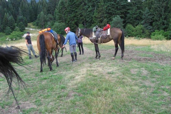 Rila Trail Riding: 5–6 Hour Canters in Lakatnishka Rila photo 2
