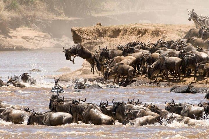 Luxury 6-Day Northern Serengeti Migration Safari, Tanzania photo 1