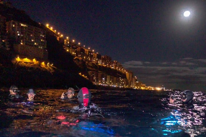 Tenerife Night Scuba Dive: Explore the Ocean After Dark