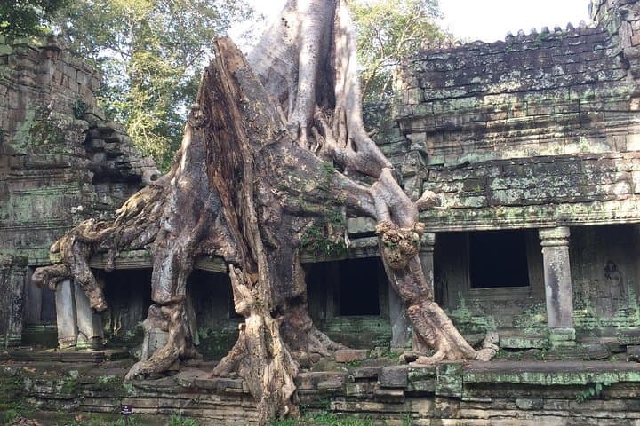 3-Day VIP Angkor Wat Sunrise Tour: Angkor Thom, Ta Prohm & Tonle Sap photo 2