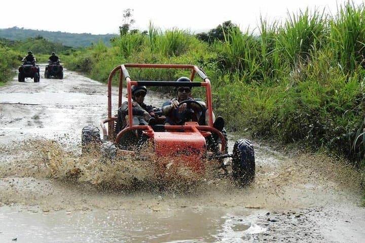 Sosua Dune Buggy Tour: Drive Montellano's Sugarcane Trails to the Beach photo 3