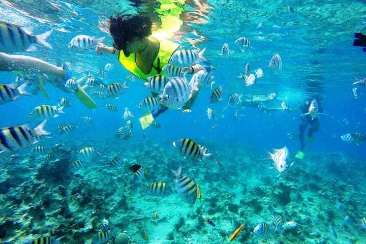 Sosúa Snorkel & Beach Day from Puerto Plata — Two Reefs, Sun Chairs and Local Flavor
