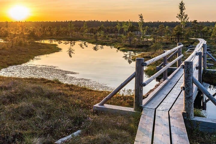 Sunrise Over Great Kemeri Bog: Boardwalk Sunrise Tour & Kanieris Lake Birdwatching