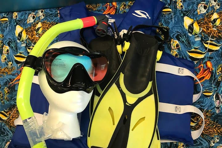 Hanauma Bay Snorkel Gear Rentals - Fast Fittings & Same-Day Rentals photo 4