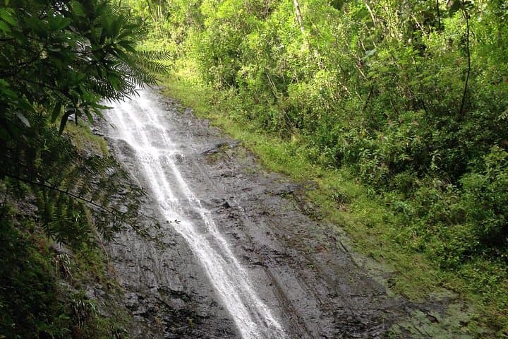 Manoa Falls Hike & Hanauma Bay Snorkel — One-Day Tropical Adventure in Oahu photo 1