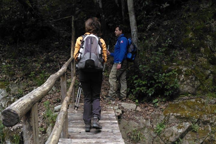 Hiking Aspromonte: Half- and Full-Day Excursions in Calabria photo 2