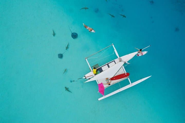 Private Moorea Half-Day Sailing Tour — Cook & Opunohu Lagoon Discovery photo 2