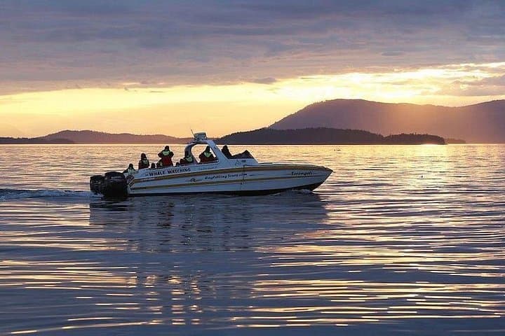 Victoria Sunset Whale-Watching Cruise on the Salish Sea photo 6