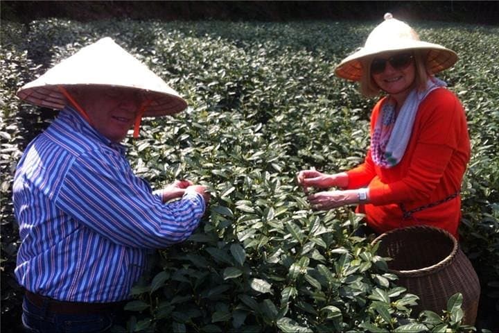 Explore Hangzhou Longjing Tea Culture: Meijiawu Village & China National Tea Museum Day Tour photo 4