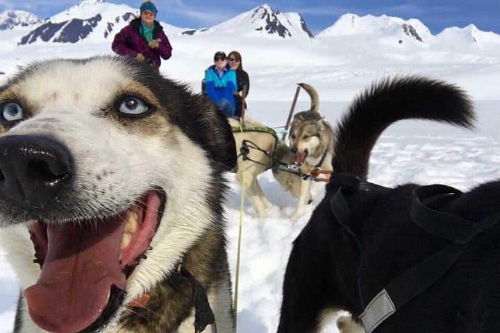 Helicopter Glacier Dogsled Adventure from Anchorage