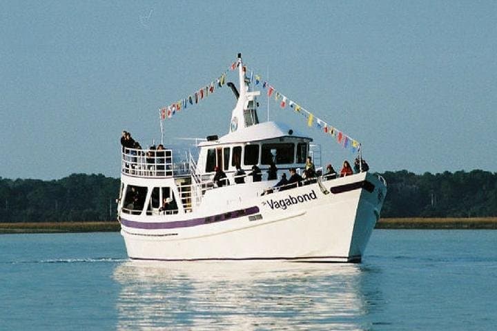 Hilton Head Ocean Dolphin Cruise — Vagabond Dolphin Watching from Harbour Town photo 3