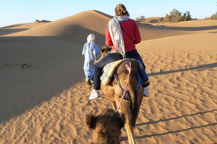 Erg Chigaga Desert Trek from Marrakech — Oasis, Dromedaries & Sahara Camping
