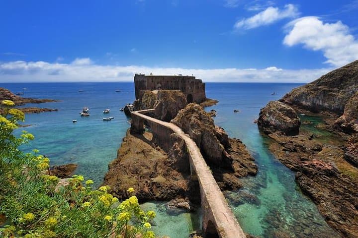 Berlenga Grande Day Trip: Glass-Bottom Boats, Forts & Atlantic Wilds from Lisbon photo 1