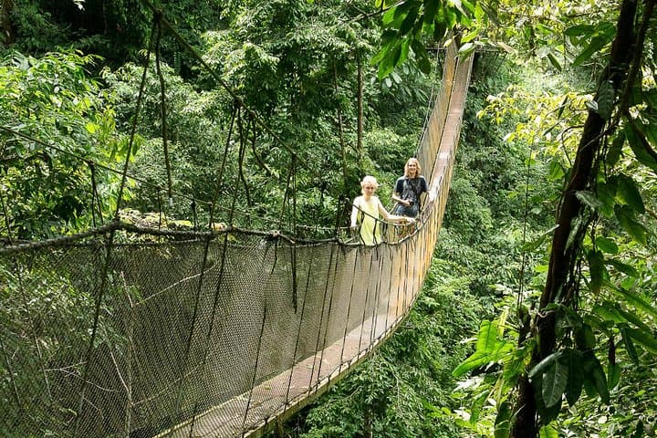 Rainmaker Park Hanging Bridges & Waterfalls Tour — Manuel Antonio Rainforest Walk