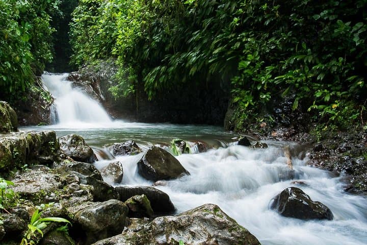 Rainmaker Park Hanging Bridges & Waterfalls Tour — Manuel Antonio Rainforest Walk photo 2