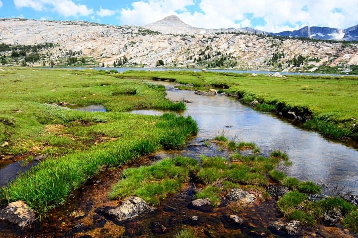 Tuolumne Meadows Private Hiking Tour: Lembert Dome, Dog Lake & Soda Springs