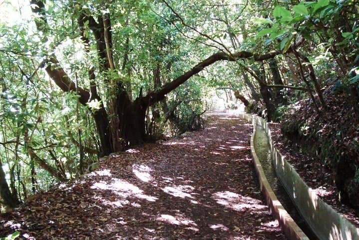 Ribeiro Frio to Portela Levada Walk — 10.7 km Guided Levada Hike in Madeira photo 2