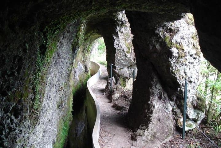Ribeiro Frio to Portela Levada Walk — 10.7 km Guided Levada Hike in Madeira photo 3
