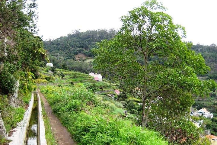 Levada dos Maroços Walk — Easy Agricultural Levada Hike Above Machico, Madeira