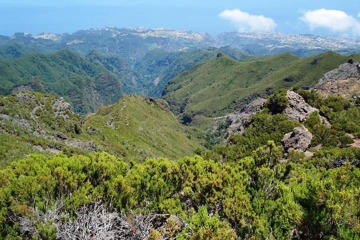 Pico Ruivo from Achadas da Teixeira — Half-Day Private Walk in Madeira