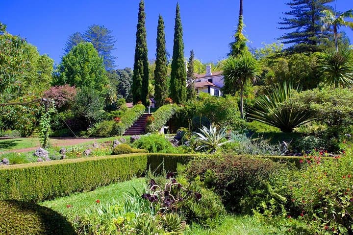 Private Half-Day Flower Tour to Palheiro Gardens & Funchal Viewpoints