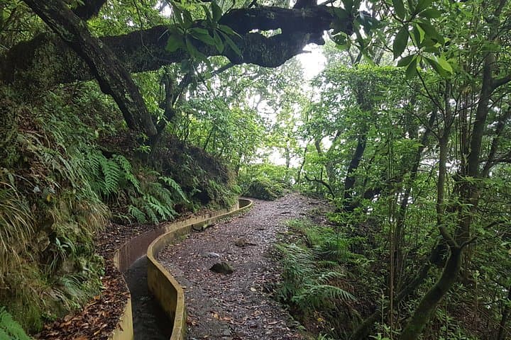Santo da Serra to Ribeiro Frio Levada Walk — Full-Day Guided Hike on Madeira photo 1