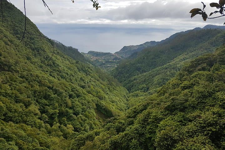 Santo da Serra to Ribeiro Frio Levada Walk — Full-Day Guided Hike on Madeira photo 2