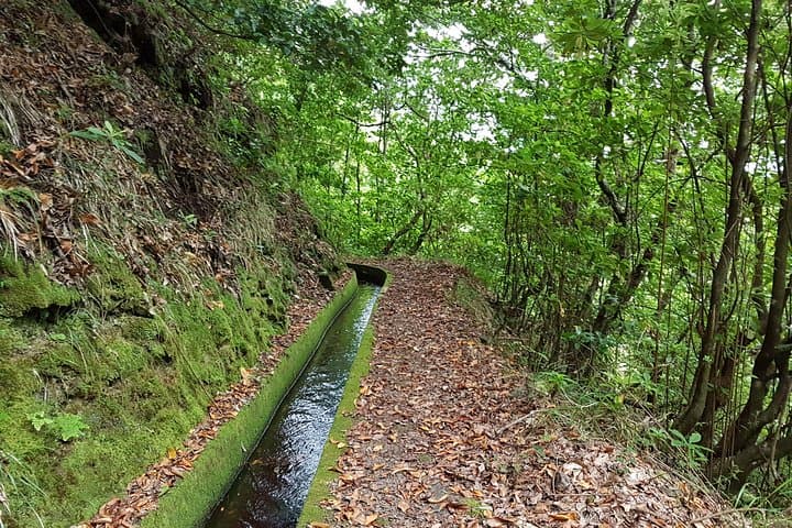 Madeira Levada dos Tornos Boaventura: Private Guided 13km Levada Hike