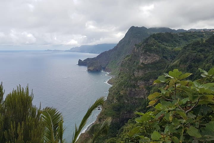 Santana Biosphere & Quinta do Furão Waterfall Private 4-Hour Tour Madeira