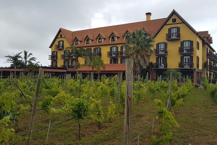 Santana Biosphere & Quinta do Furão Waterfall Private 4-Hour Tour Madeira photo 2