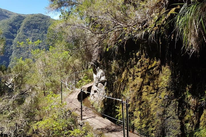 Levada Caldeirão Verde Private Guided Walk — Queimadas to the Waterfall photo 2
