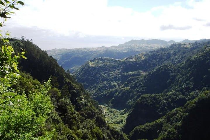 Private Guided Walk Levada do Rei — Madeira’s Laurissilva Trail photo 2