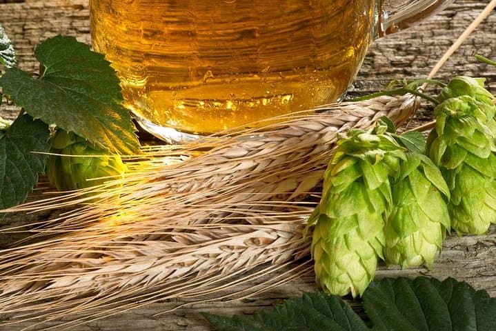 Canandaigua Lake Brewery Tour: Finger Lakes Craft Beer Road Trip photo 1