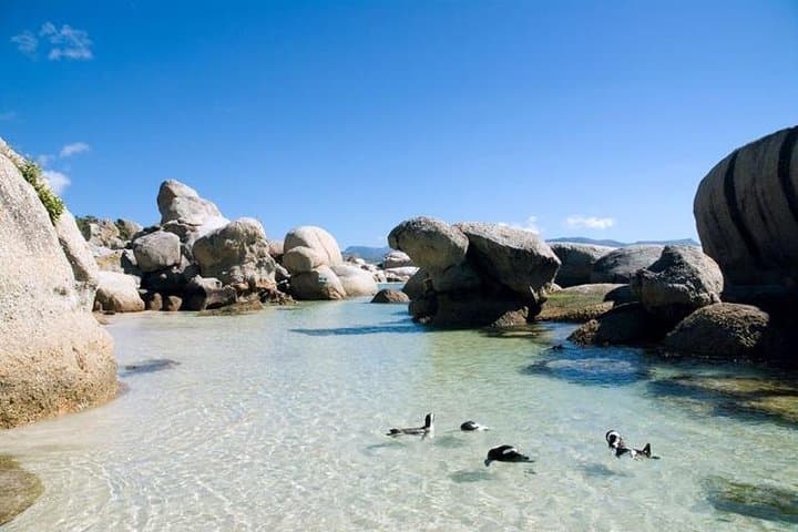 Cape Peninsula Half-Day Private Tour: Cape Point & Boulders Beach from Cape Town photo 2